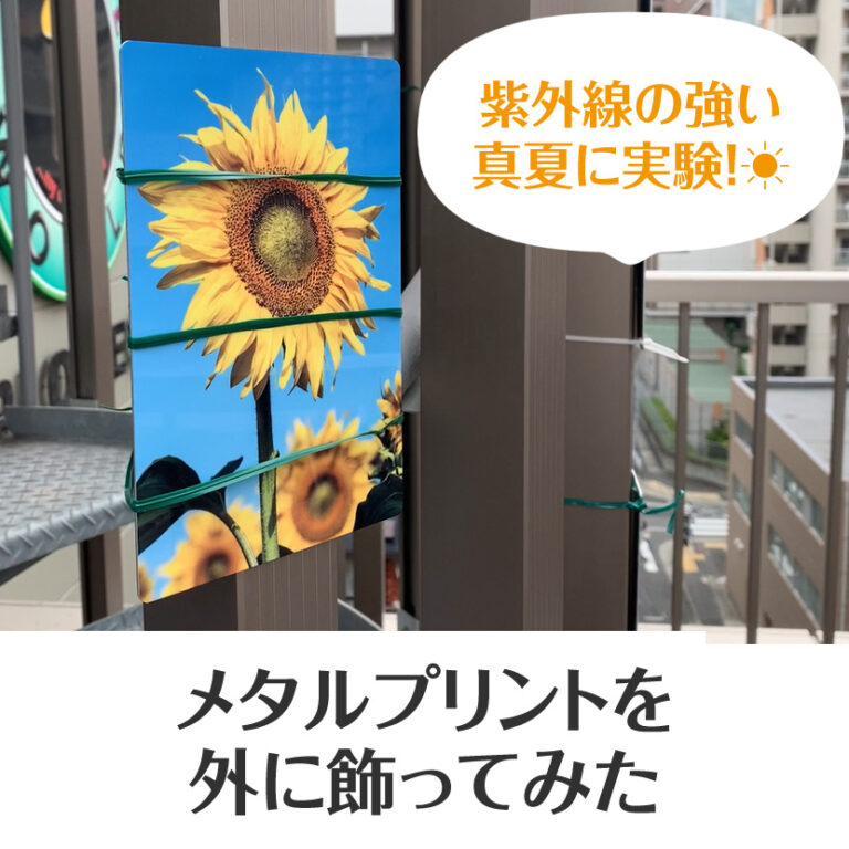 メタルプリント®を外に飾ってみた