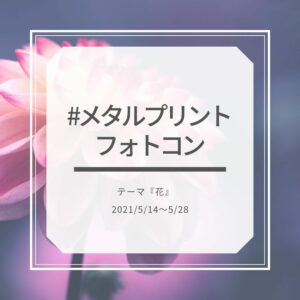 #メタルプリントフォトコン　テーマ『花』