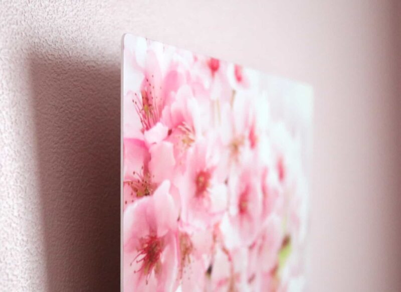 桜01