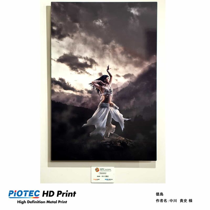 World Photographic Cup2018/Illustrative