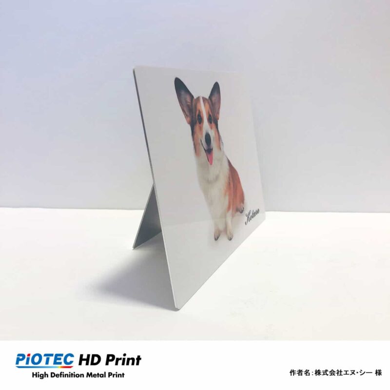 ペット/犬01