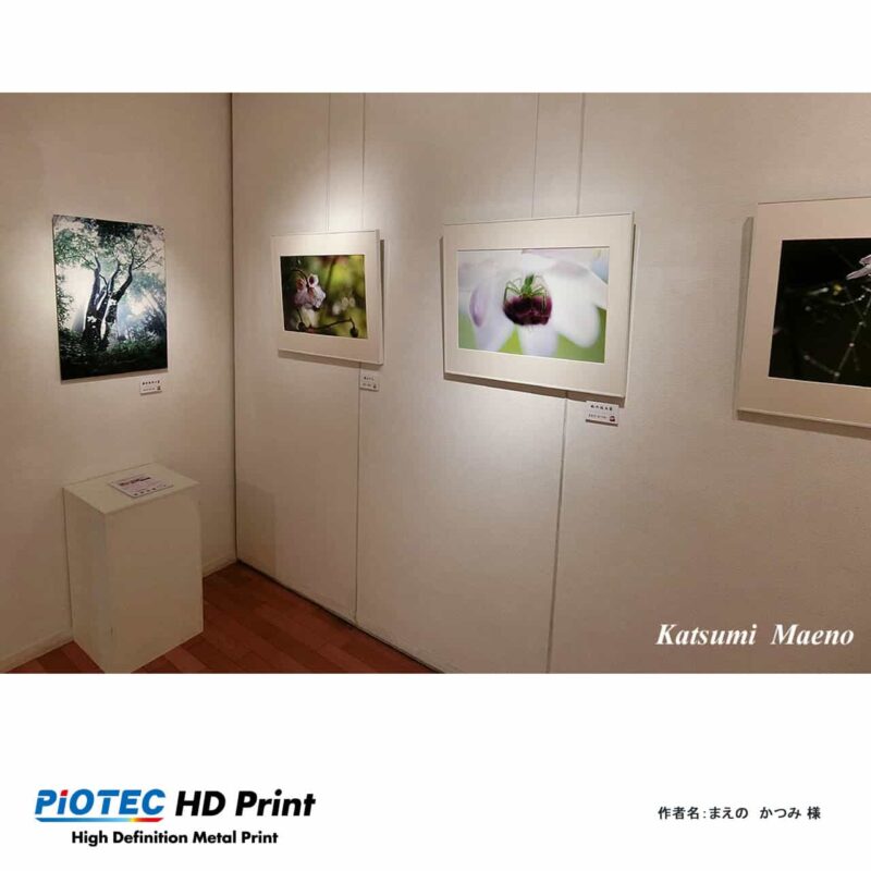 古代蓮とレンゲショウマ写真展01
