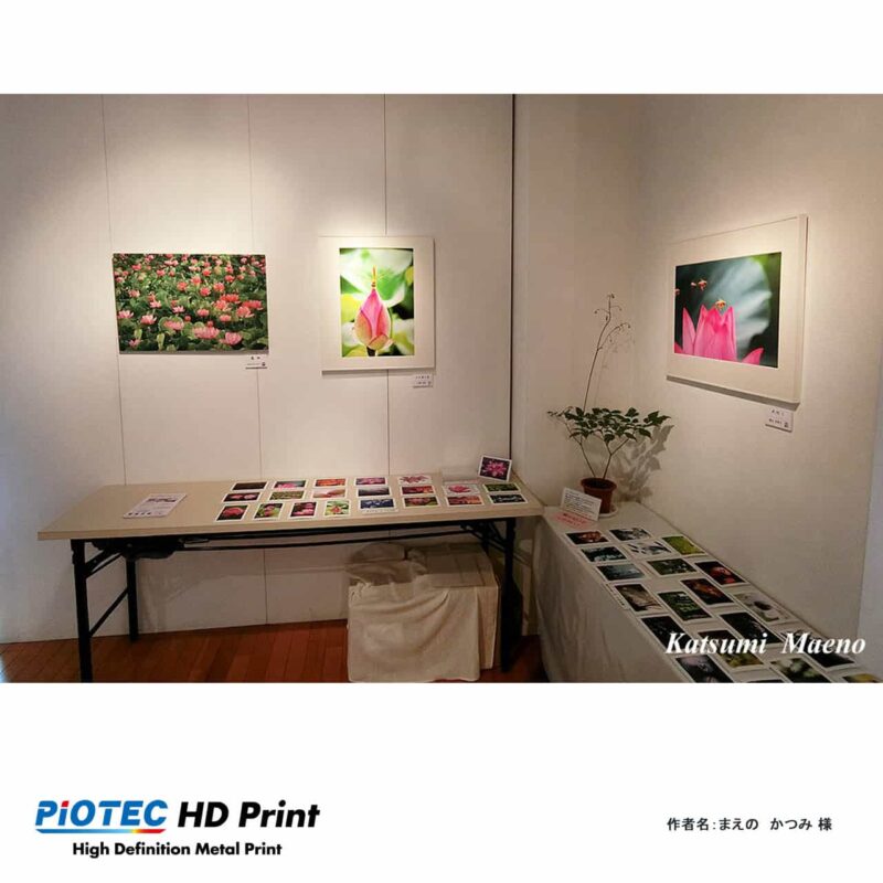 古代蓮とレンゲショウマ写真展01