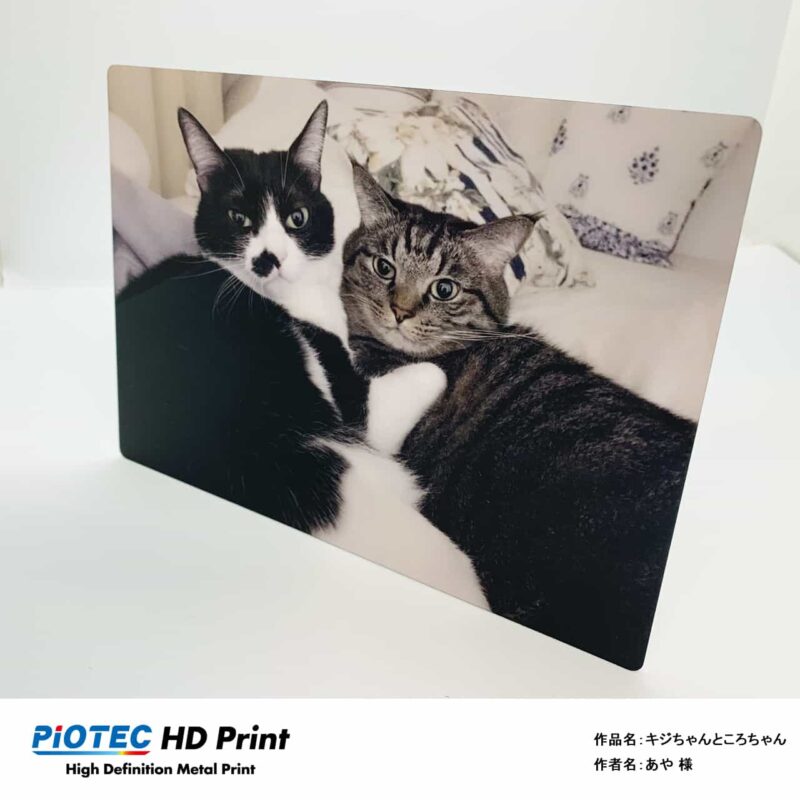 キジちゃんところちゃん