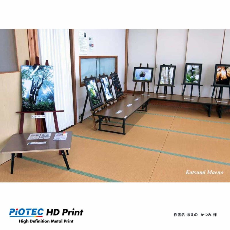 神秘の花　レンゲショウマ写真展