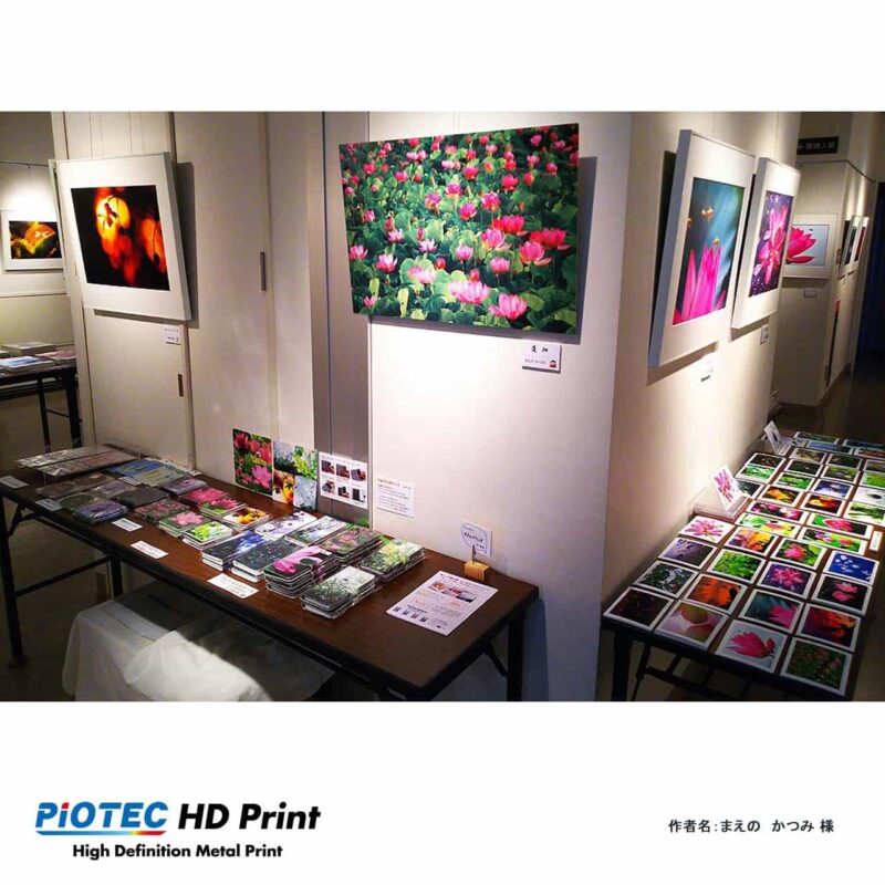 古代蓮とレンゲショウマ写真展02