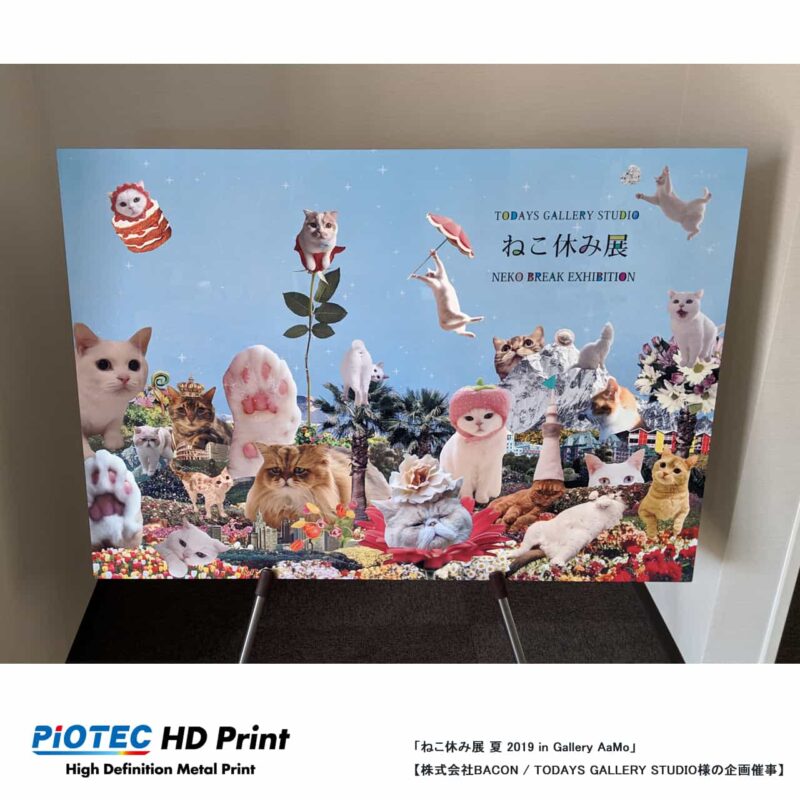 ねこ休み展 夏 2019 in Gallery AaMo 08
