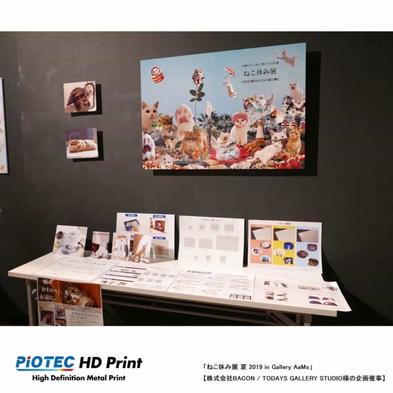 ねこ休み展 夏 2019 in Gallery AaMo 01