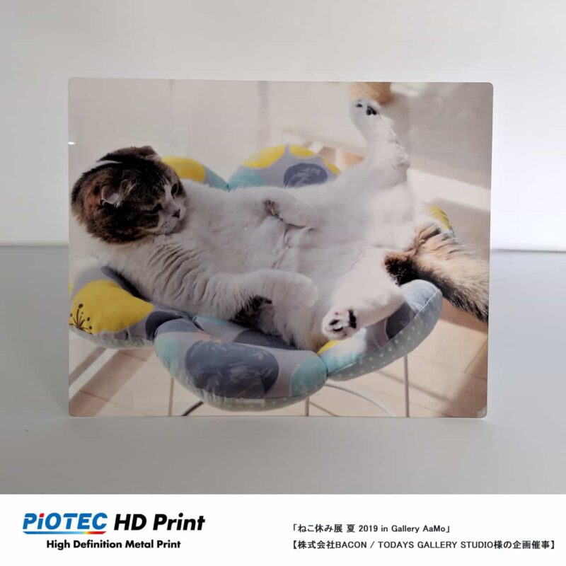 ねこ休み展 夏 2019 in Gallery AaMo 04