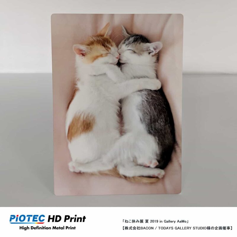 ねこ休み展 夏 2019 in Gallery AaMo 03
