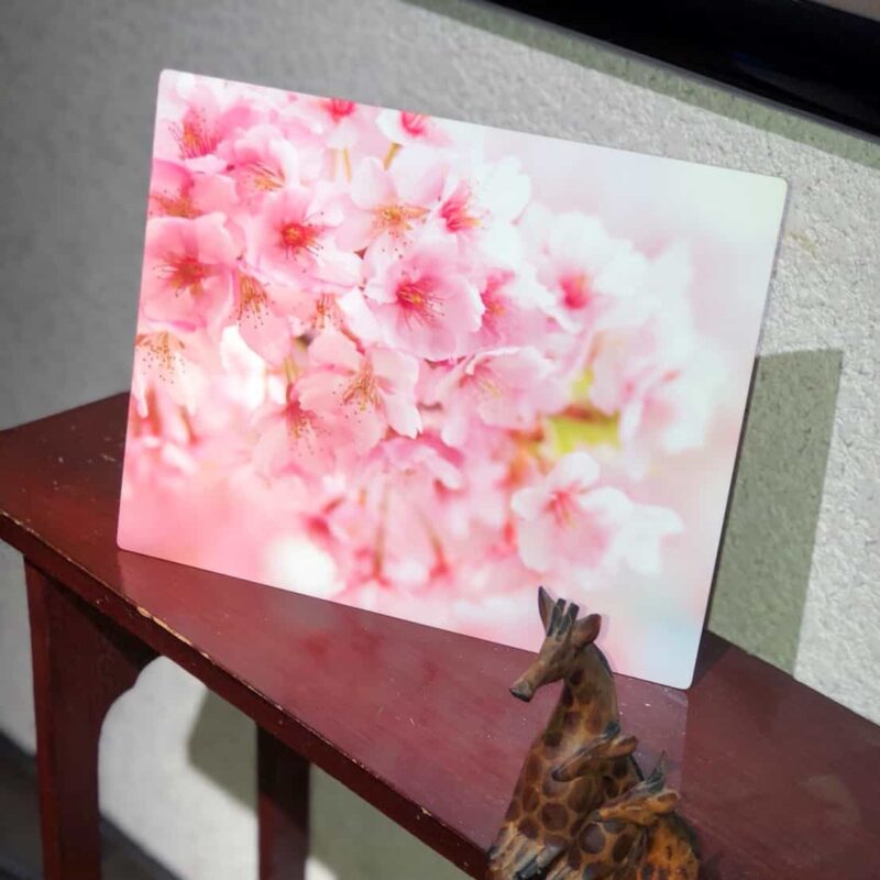 桜 02