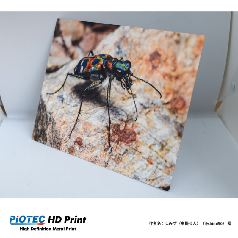2021年2月 メタルプリントフォトコン テーマ「マクロ写真」01